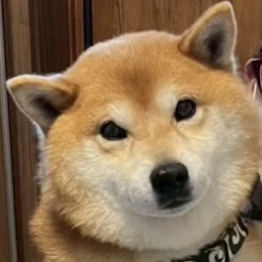写真の説明