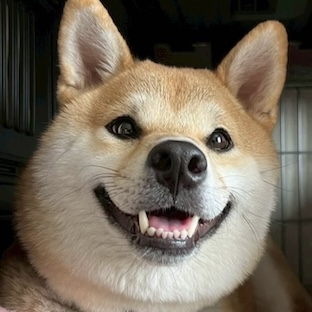写真の説明
